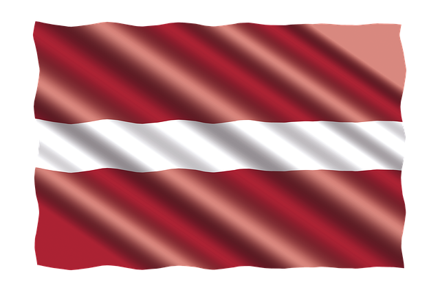 Aizsardzības ministrija piešķirs 17 209 eiro militāri patriotiskajām organizācijām projektu īstenošanai