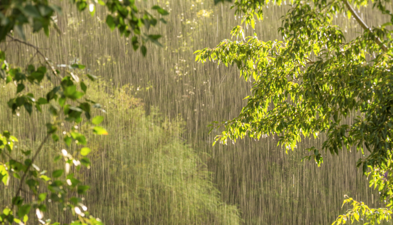 Valdība sniedz atbalstu pašvaldībām 2025. gada vasaras lietavu radīto zaudējumu segšanai 174,3 tūkst. eiro apmērā